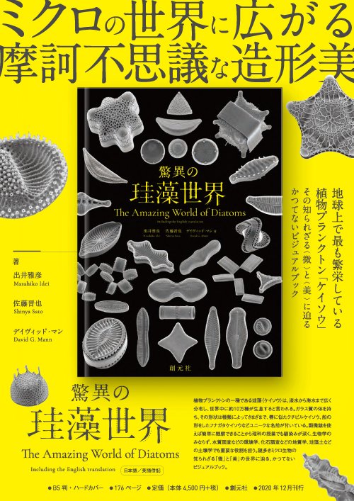 藻類の多様性と系統　9784785358266 藻類の多様性と系統 (バイオディバーシティ・シリーズ 3) | 千原